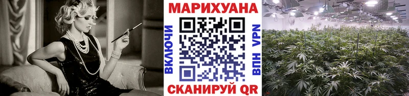 Марихуана семена  Новая Ладога 